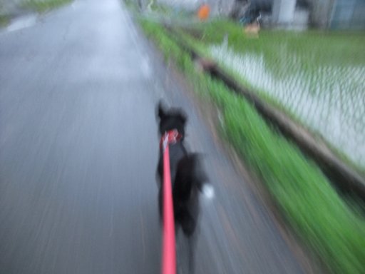 イヴ姫５：２０