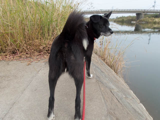 水辺の階段トレーニング