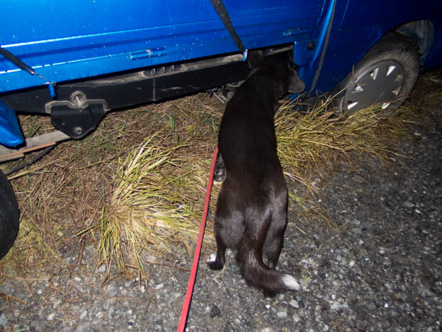 潜入捜査（軽トラ編）