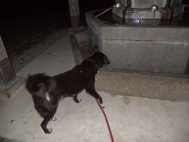 誰もいない境内