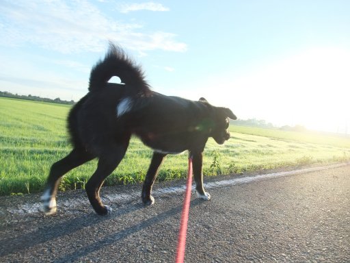 ファイル 190-2.jpg