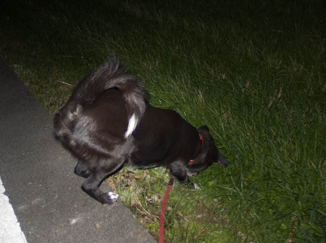 雪、降らないね