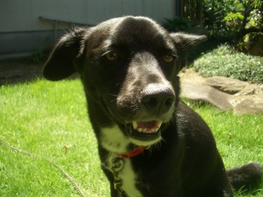 ファイル 192-3.jpg