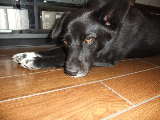 ファイル 192-4.jpg