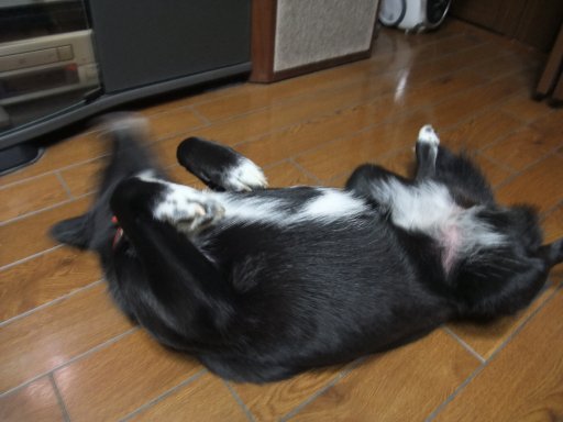 ファイル 192-5.jpg