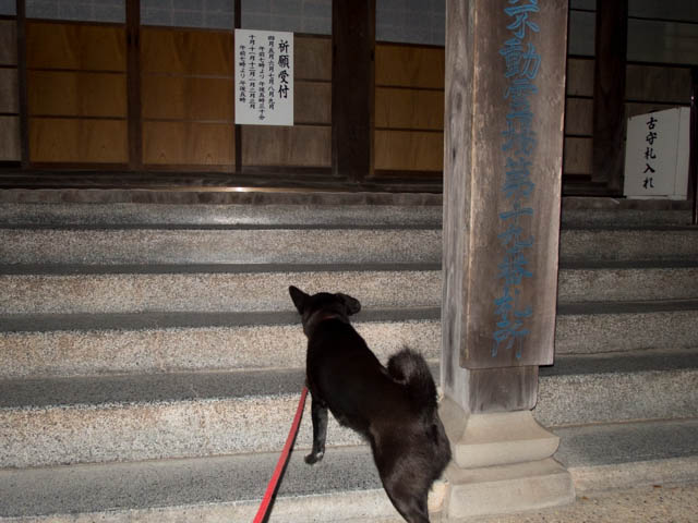 ひな祭りにお願いを