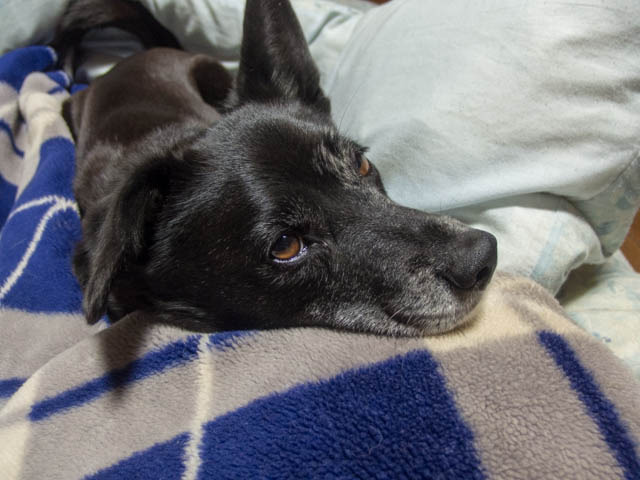 イヴ姫おめざ4：24