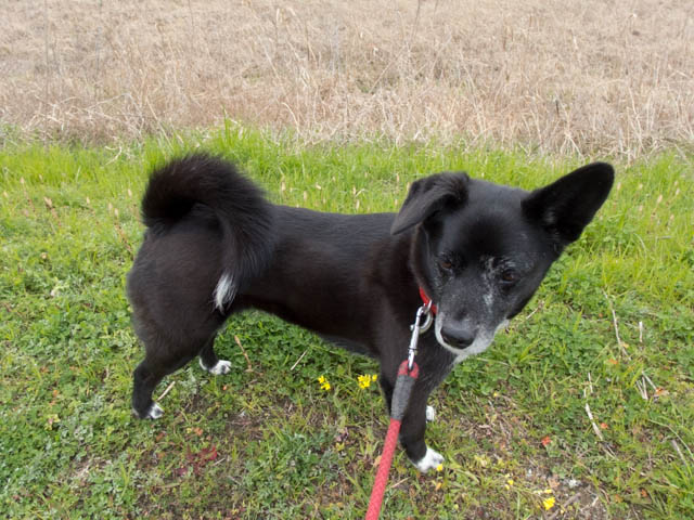 ファイル 1957-3.jpg