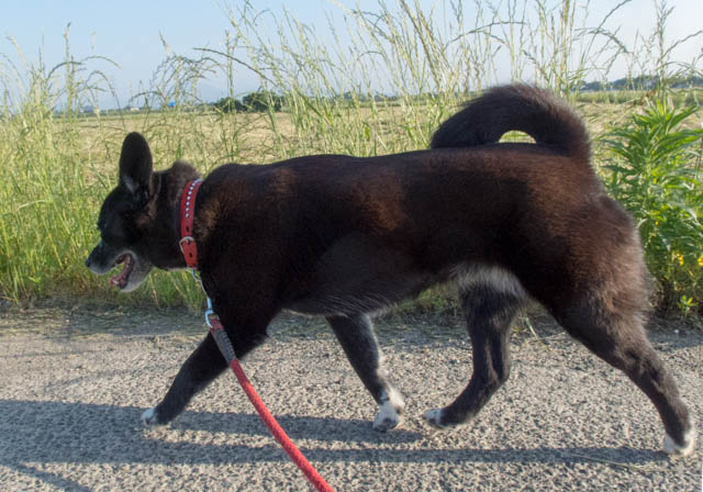 青空のある限り
