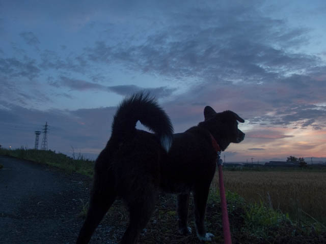 本震から一ヶ月