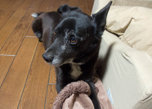 水無月のはじまり