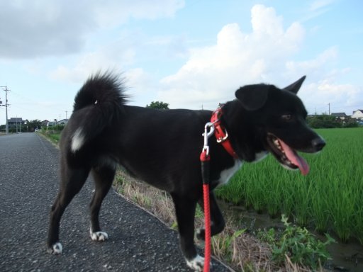 ファイル 204-3.jpg