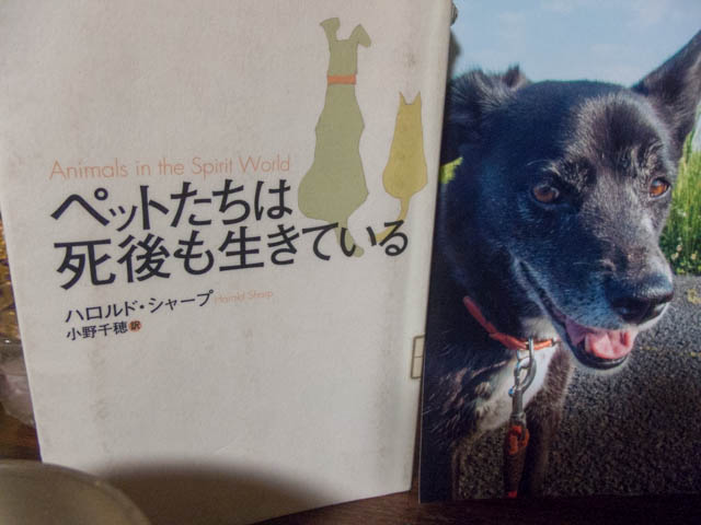 EveHime in the Spirit World