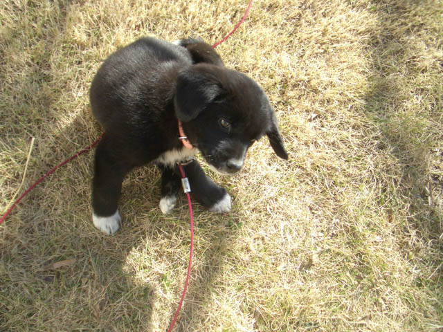 これからも姫と一緒