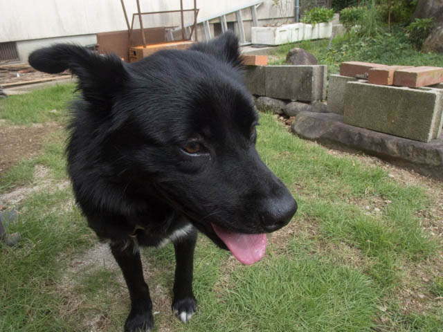 海の日（マリンの日）