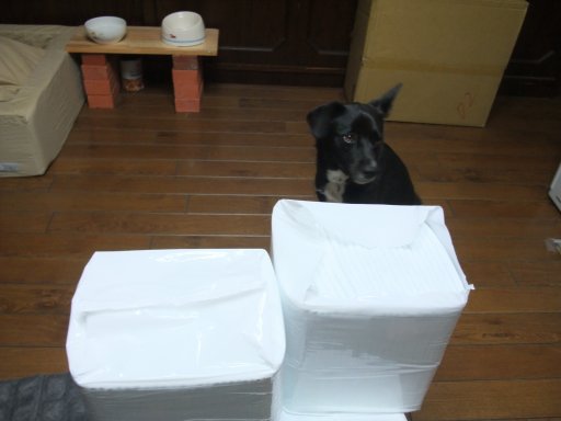 ファイル 206-2.jpg