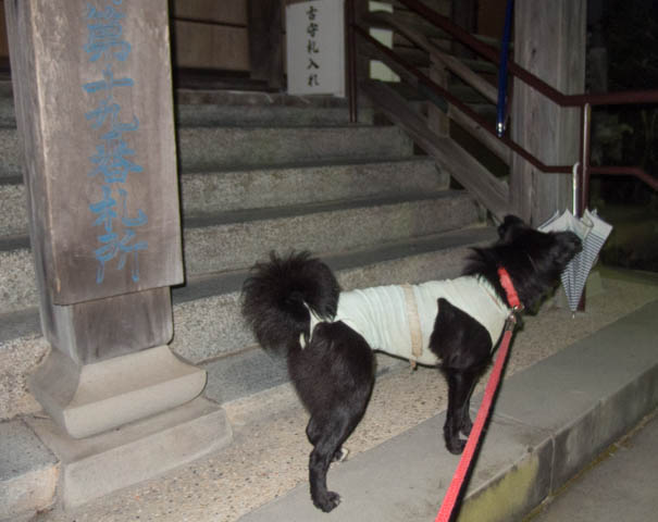 不動尊にお参り