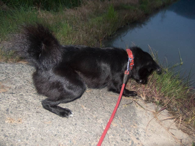 マリンから一ヶ月