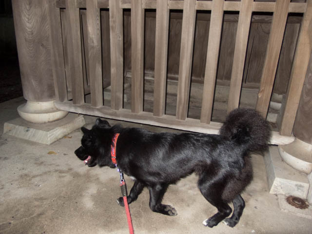 仁王門は匂わないのか