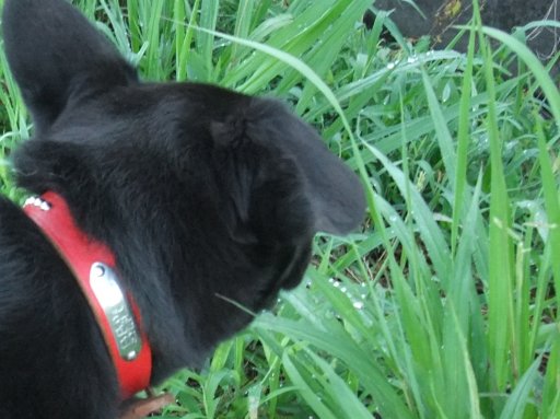 ファイル 209-2.jpg