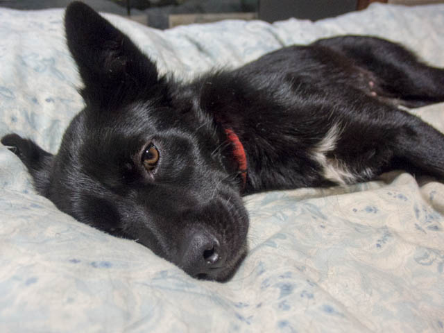 台風行った１２号