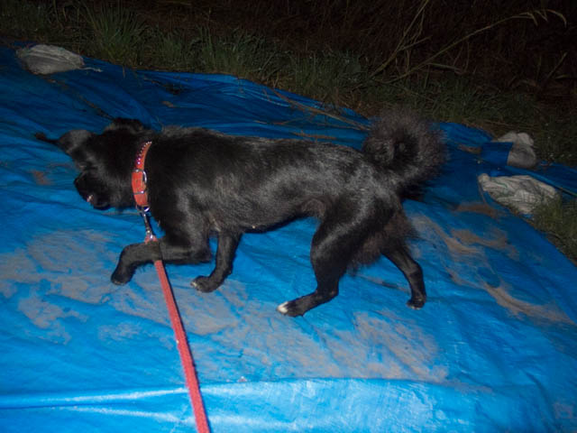 マリン on a  sheet