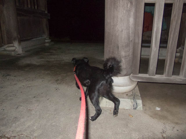 仁王門うろうろ