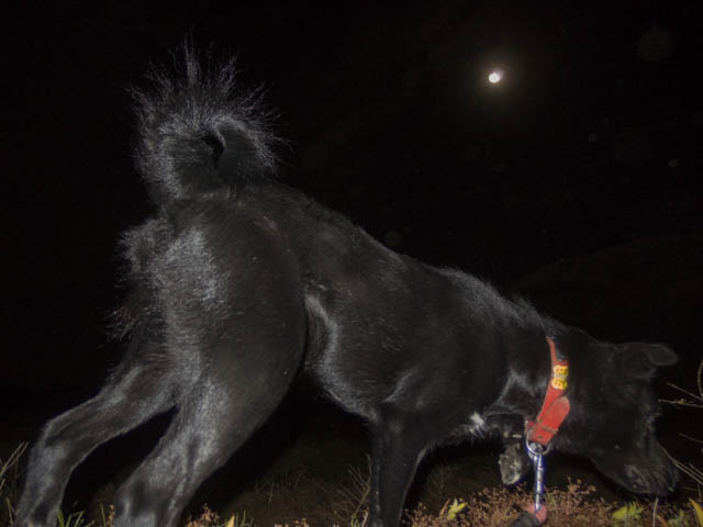 ファイル 2130-3.jpg