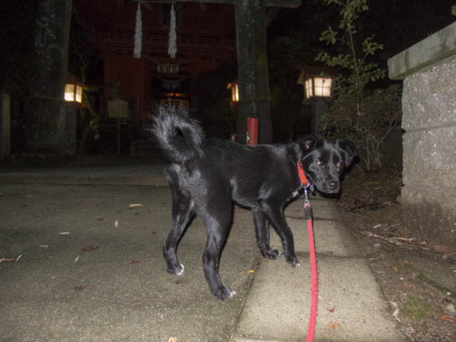 マリンから三ヶ月