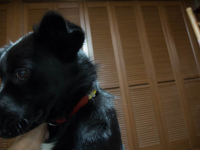 マリン的朝刊タイム