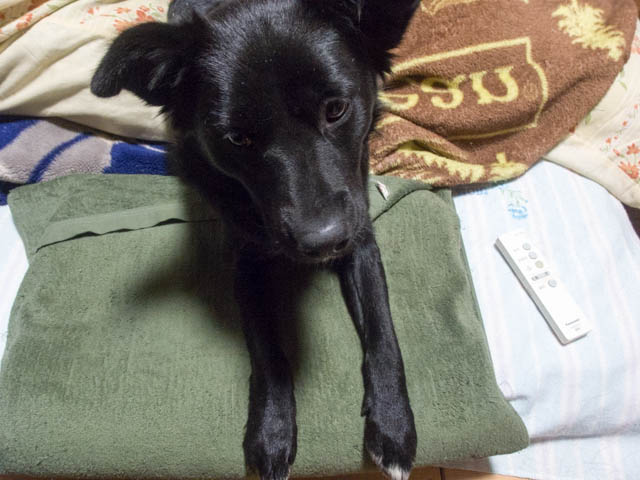 マリン流おやすみなさい