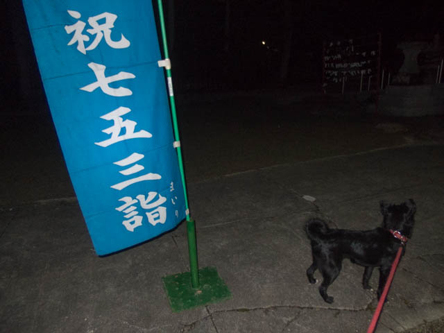 マリンも七五三