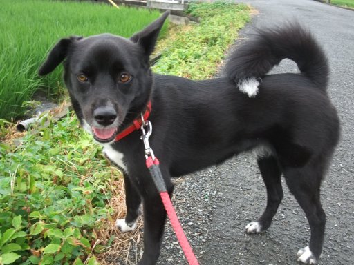 ファイル 216-2.jpg