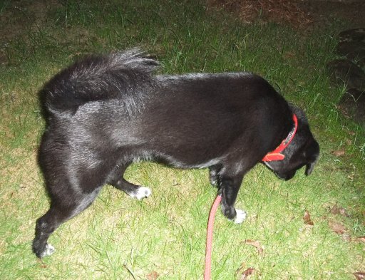 晴れのち雷雨、おまけに停電