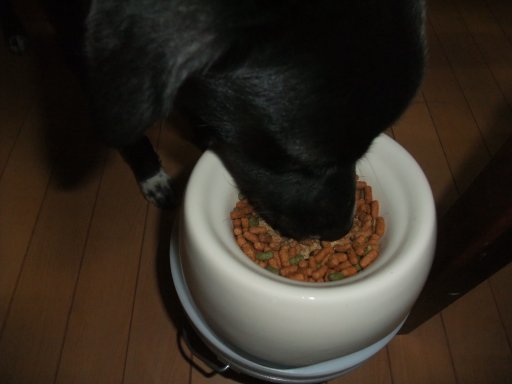 ファイル 224-2.jpg