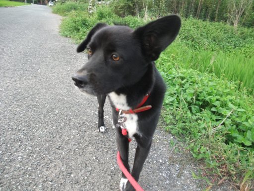 9月（エっちゃん月）