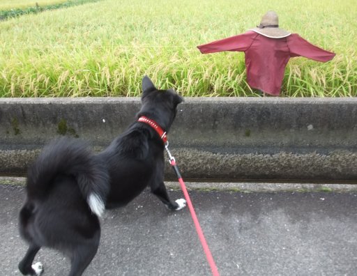 ファイル 263-2.jpg