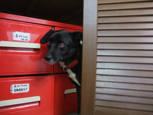 ファイル 276-3.jpg