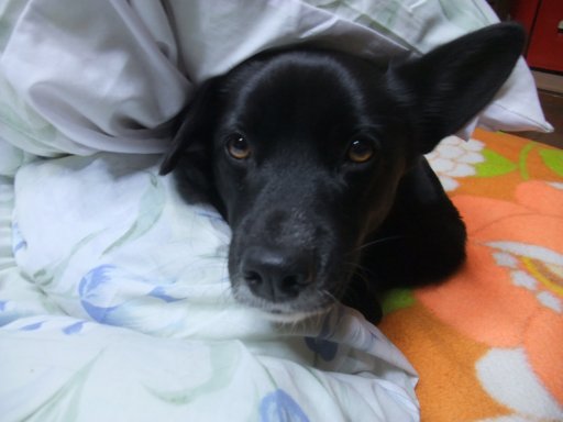 ファイル 292-2.jpg