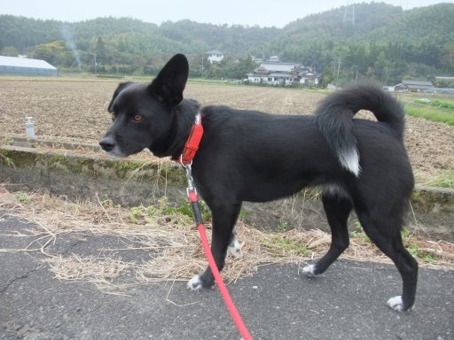 ファイル 300-3.jpg