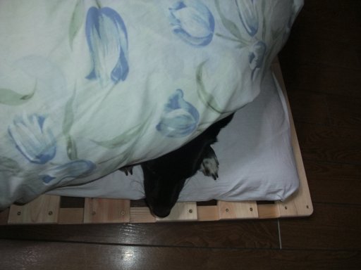 ファイル 304-2.jpg