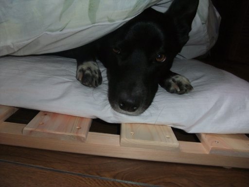 ファイル 304-3.jpg