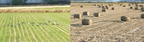 ファイル 305-3.jpg