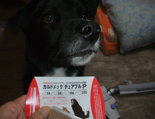 デザート不足！？