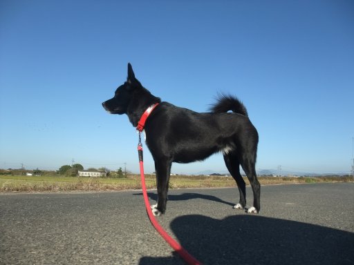 ファイル 318-4.jpg