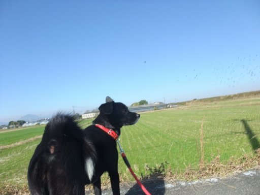 ファイル 319-2.jpg