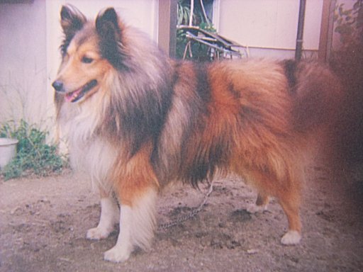 ファイル 319-3.jpg