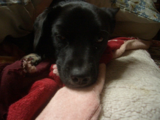 節分．．．だって