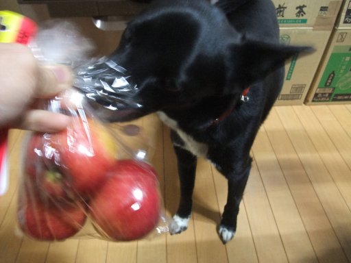 ファイル 320-2.jpg