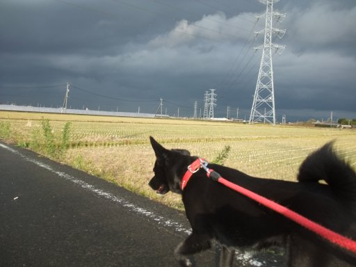 ファイル 325-2.jpg